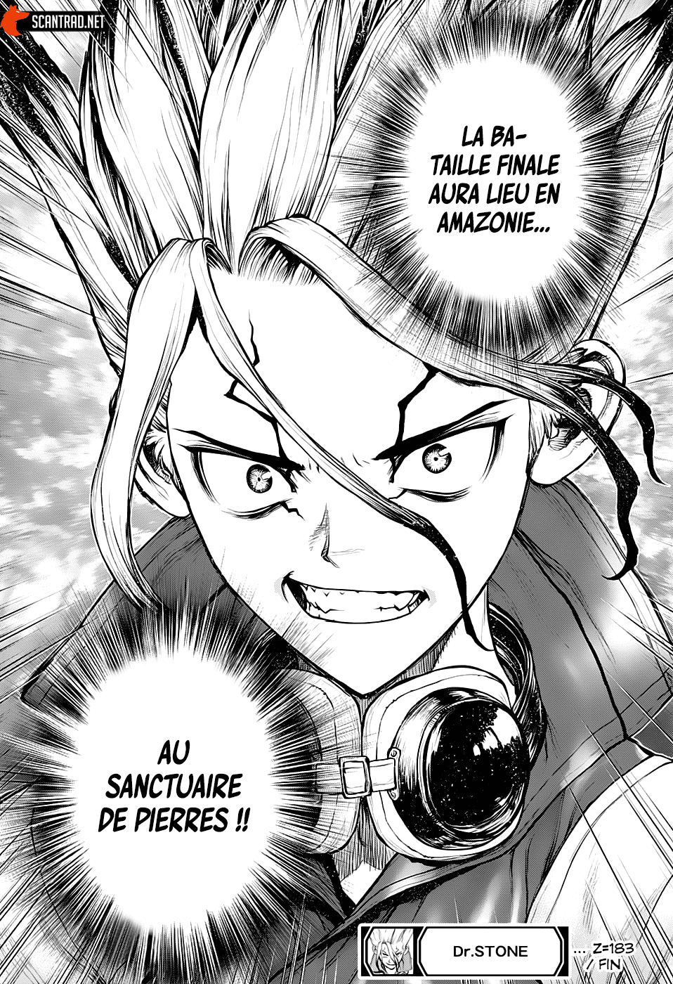 Read Dr. Stone FR Manga Online