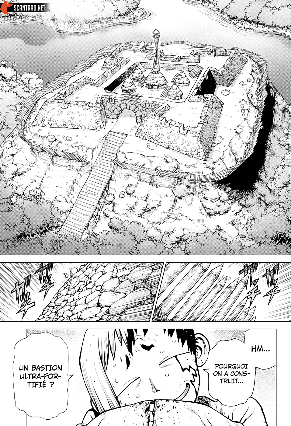 Read Dr. Stone FR Manga Online