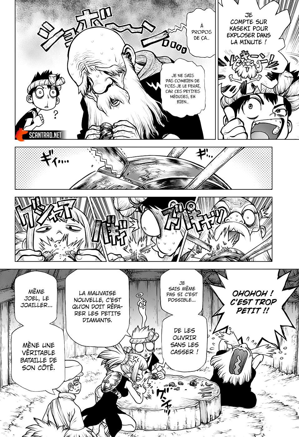 Read Dr. Stone FR Manga Online