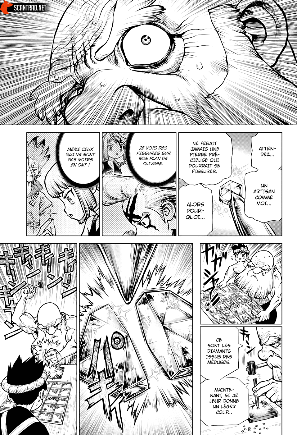 Read Dr. Stone FR Manga Online