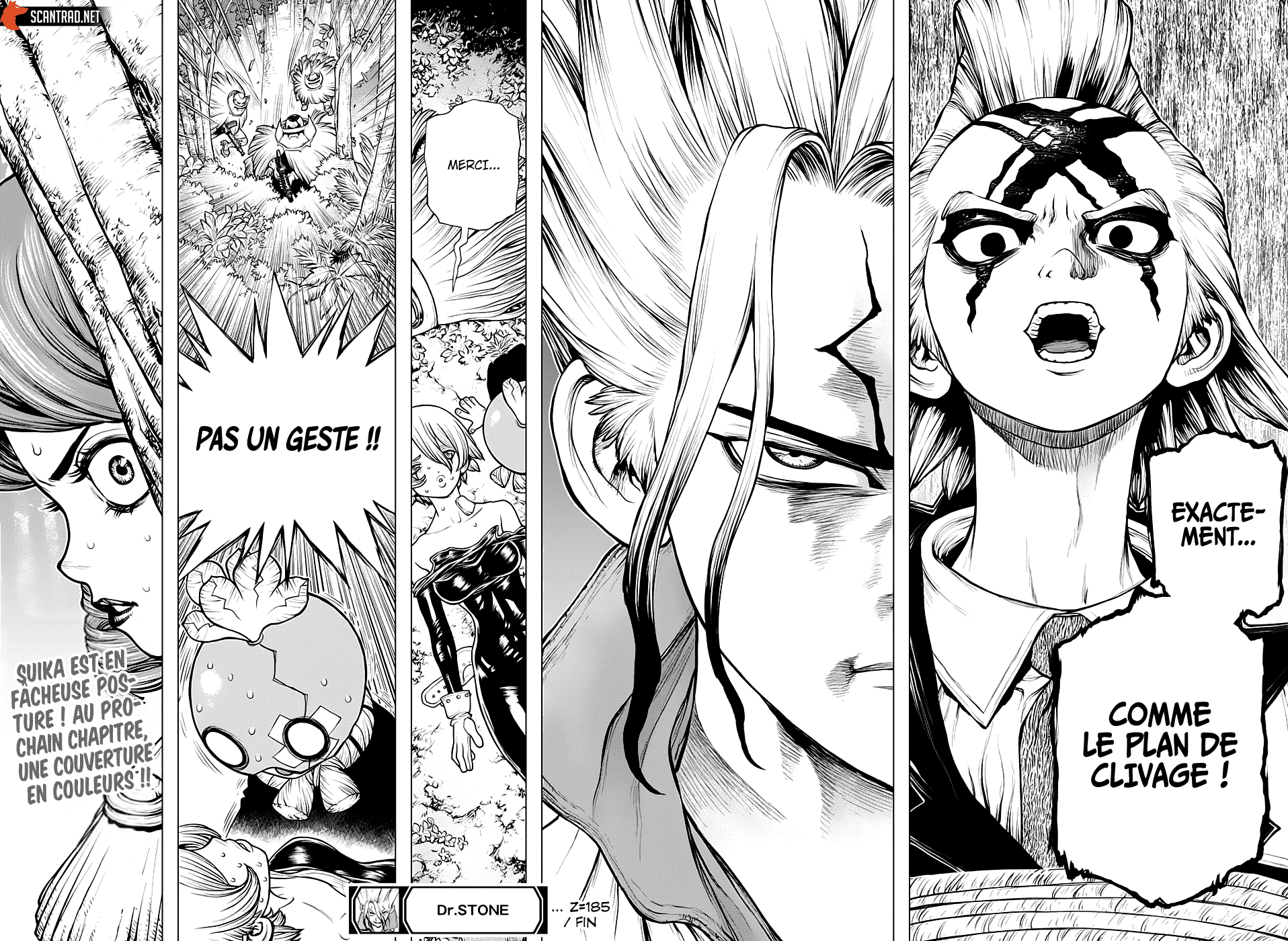Read Dr. Stone FR Manga Online