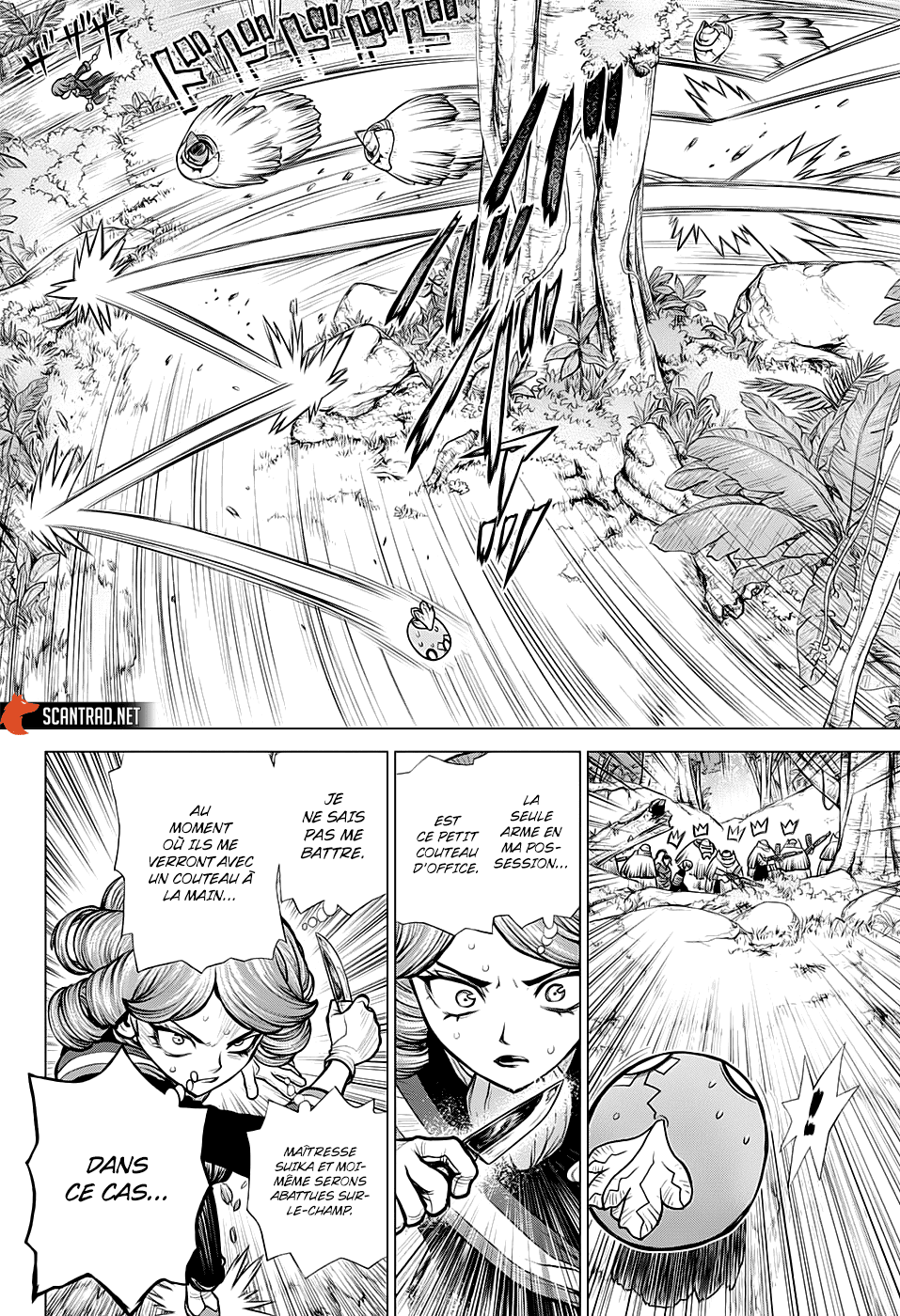 Read Dr. Stone FR Manga Online