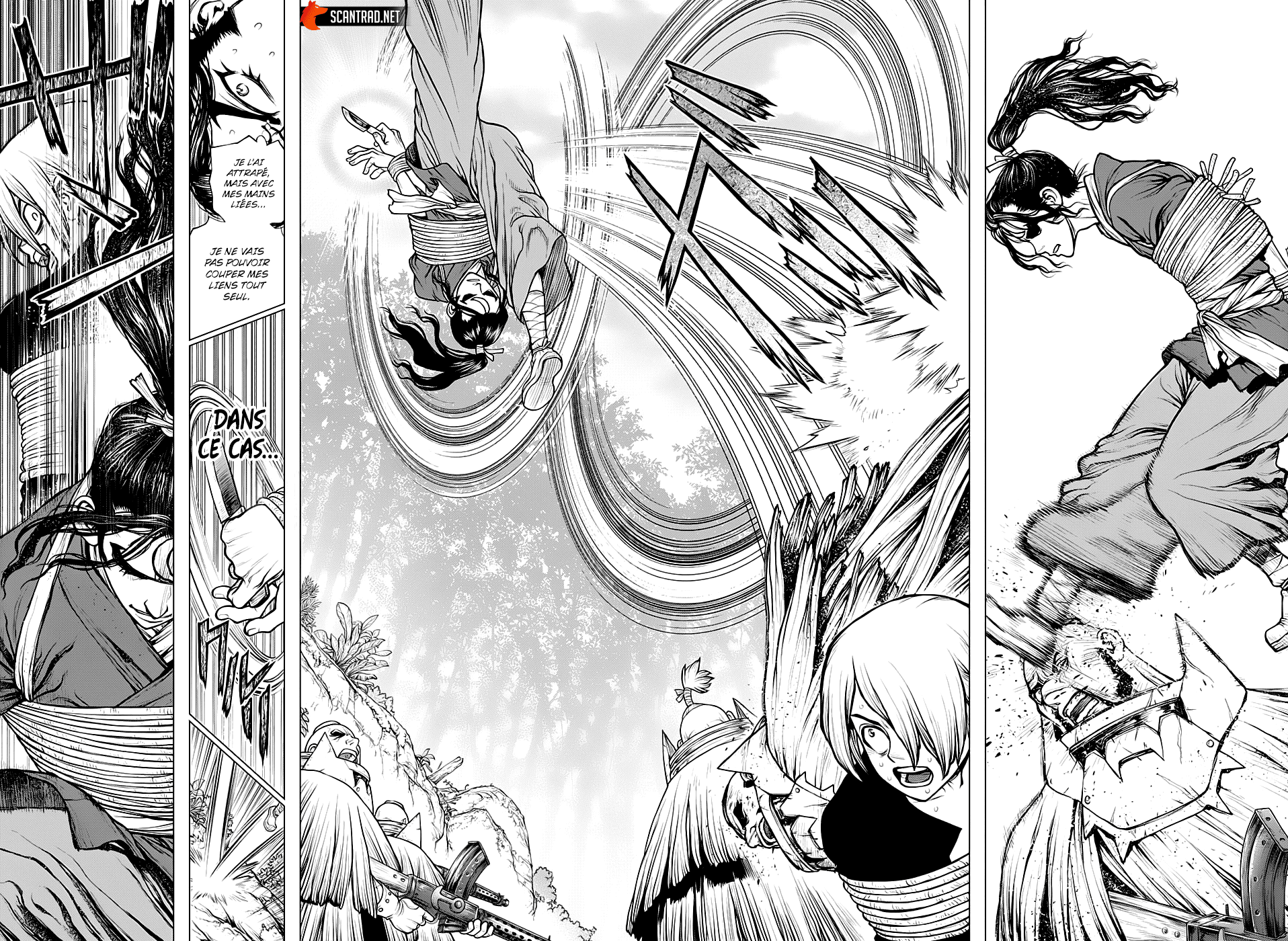 Read Dr. Stone FR Manga Online