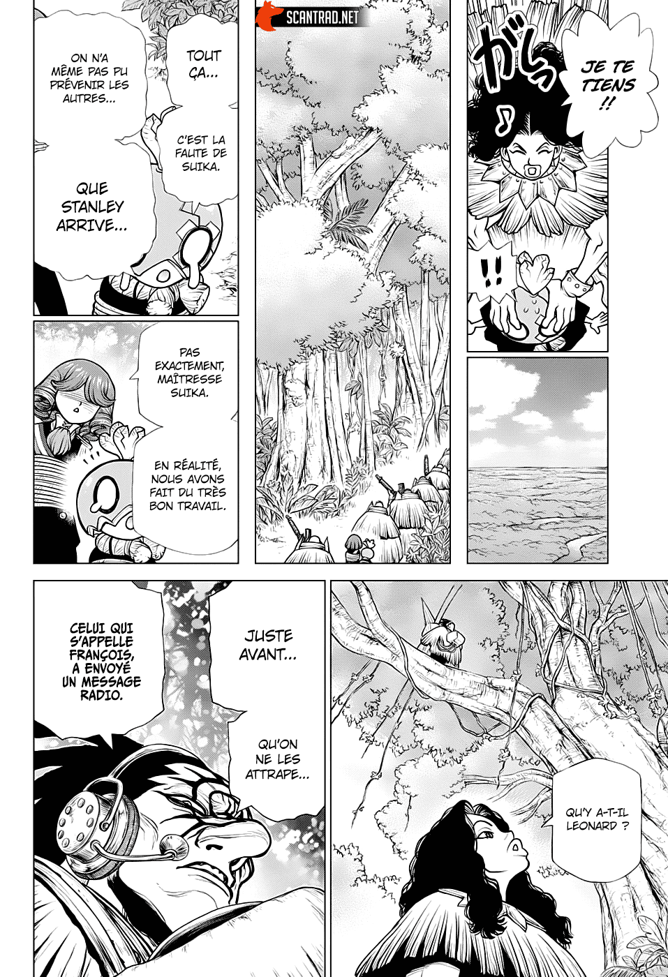 Read Dr. Stone FR Manga Online