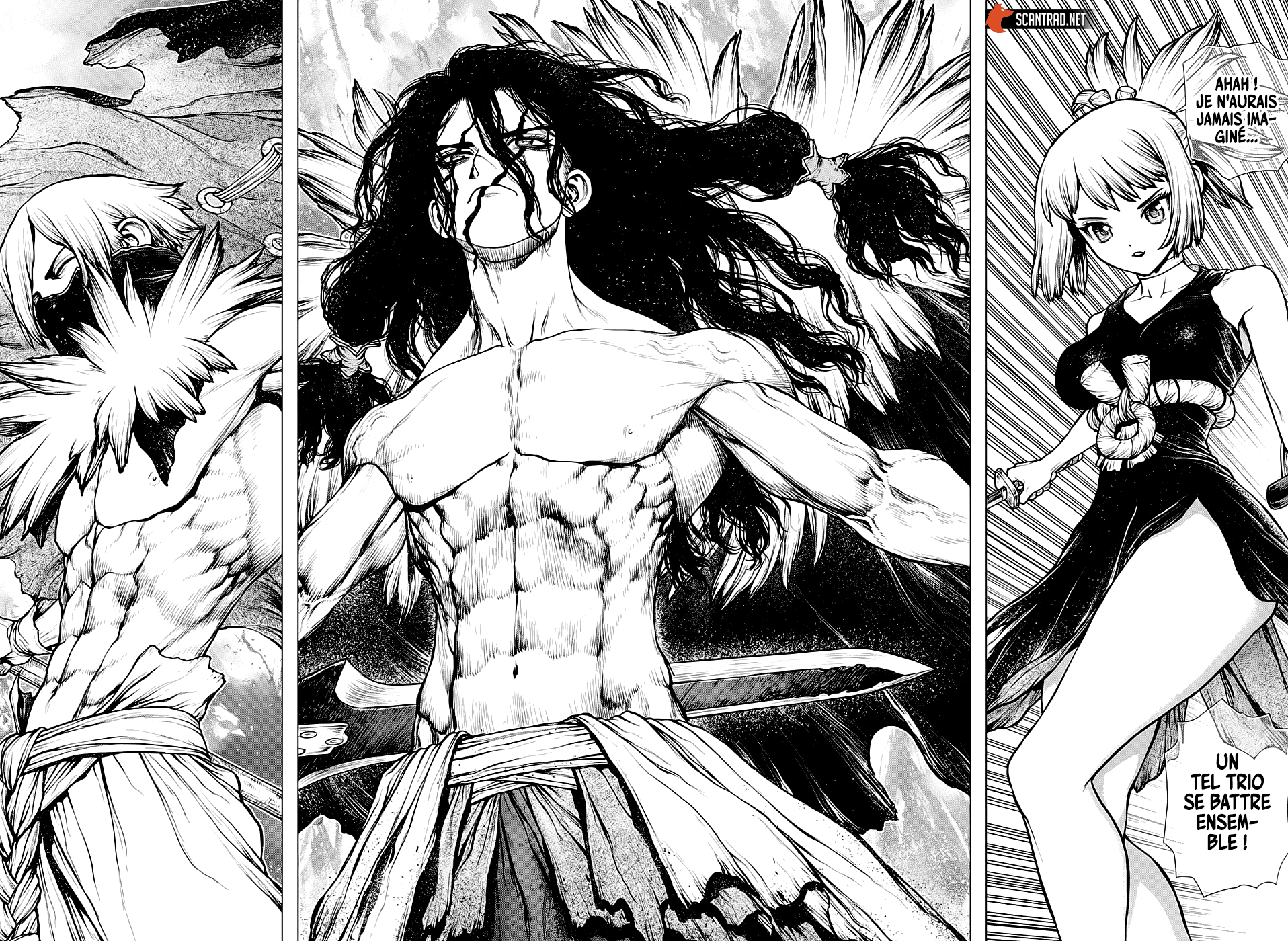 Read Dr. Stone FR Manga Online