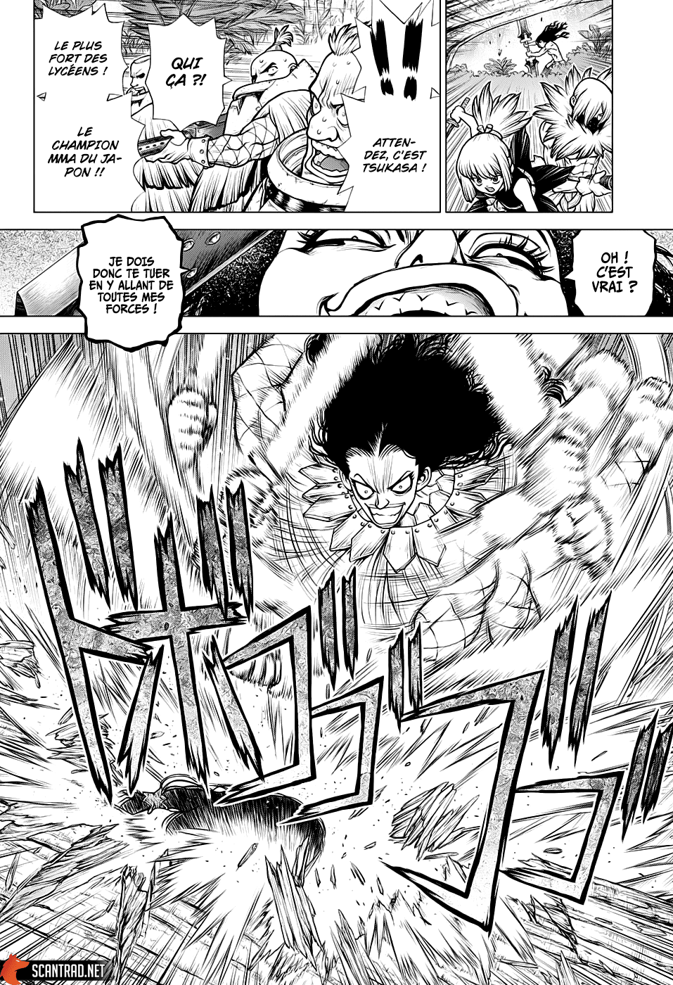 Read Dr. Stone FR Manga Online
