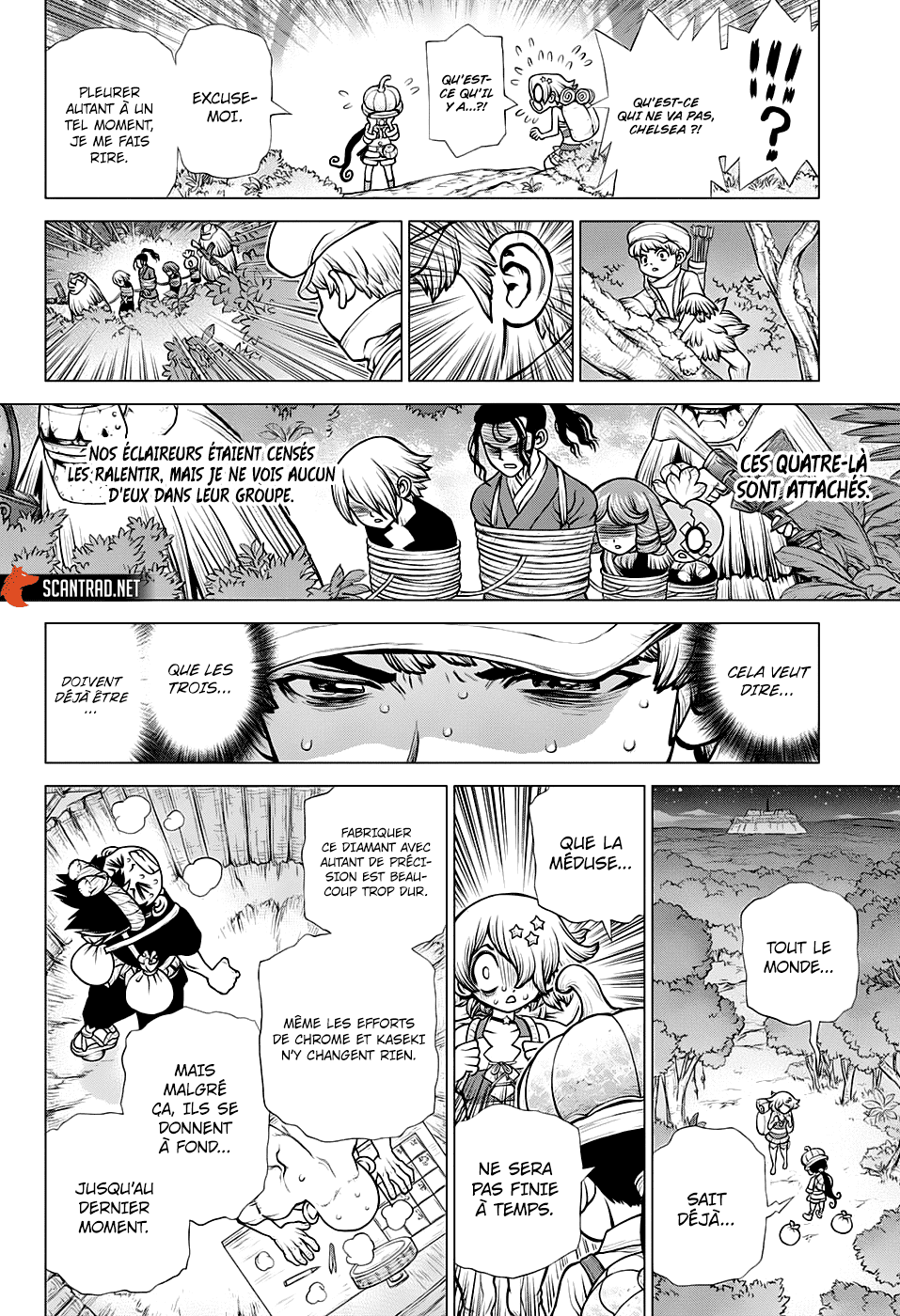 Read Dr. Stone FR Manga Online