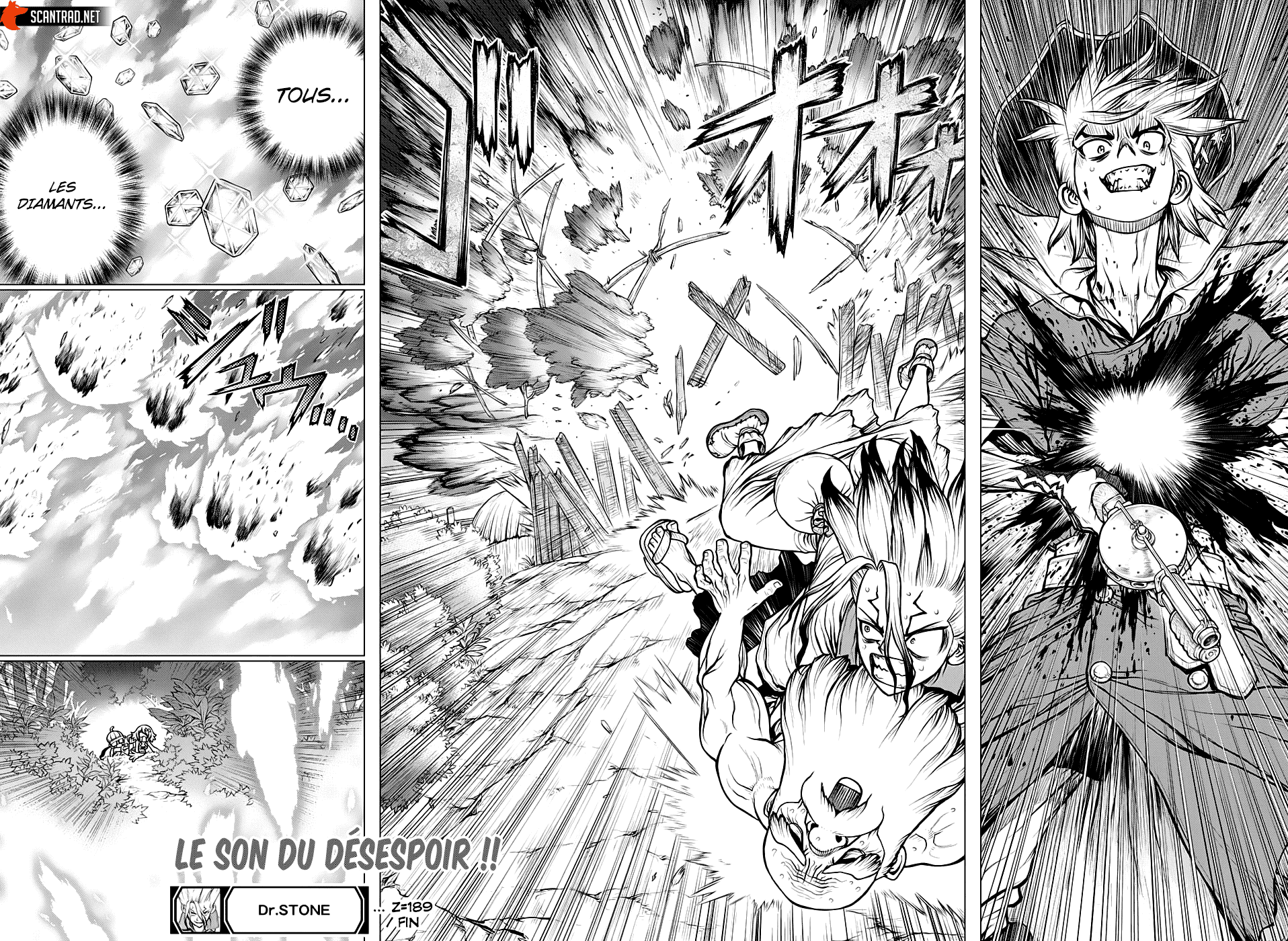 Read Dr. Stone FR Manga Online