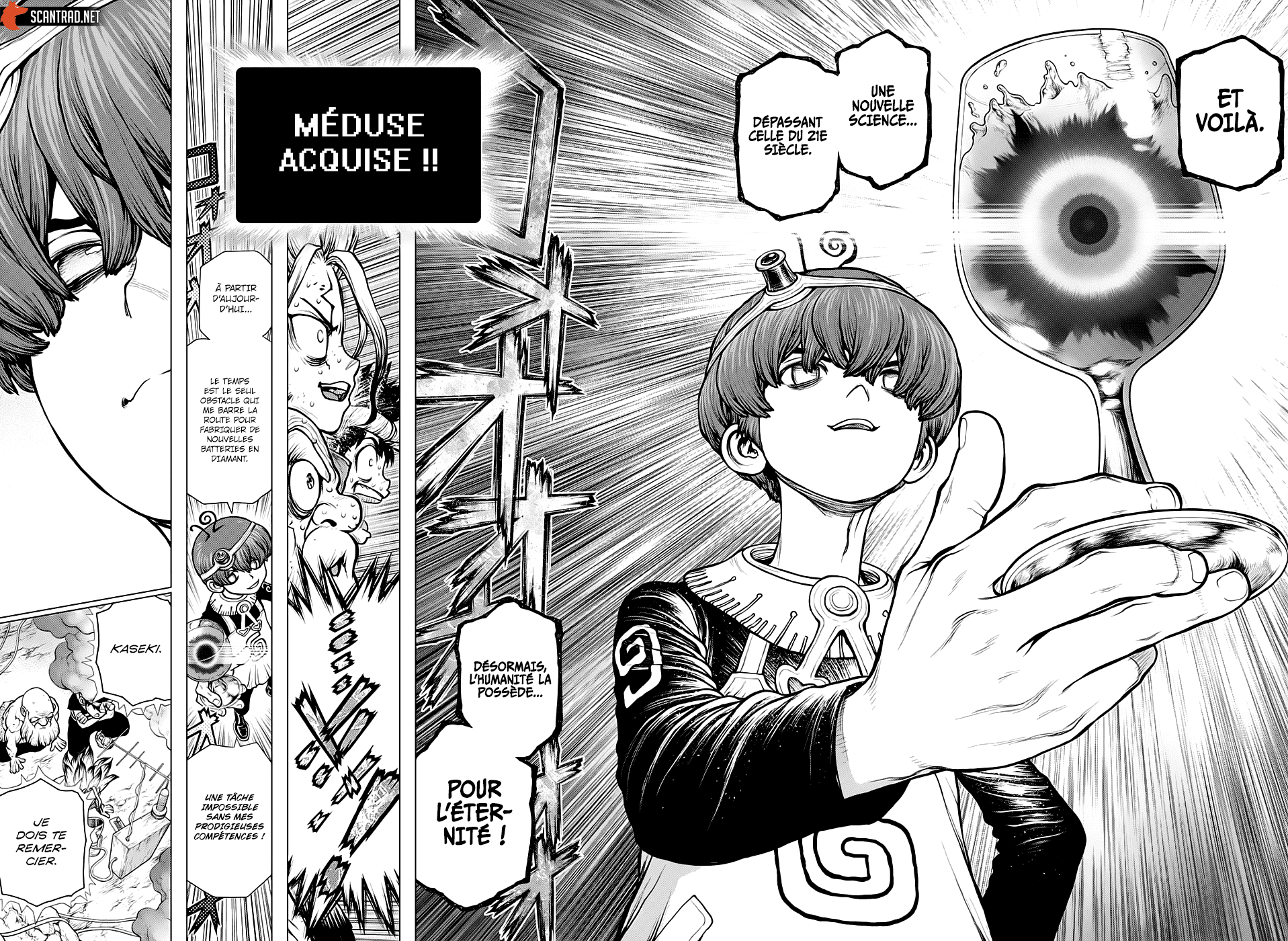 Read Dr. Stone FR Manga Online