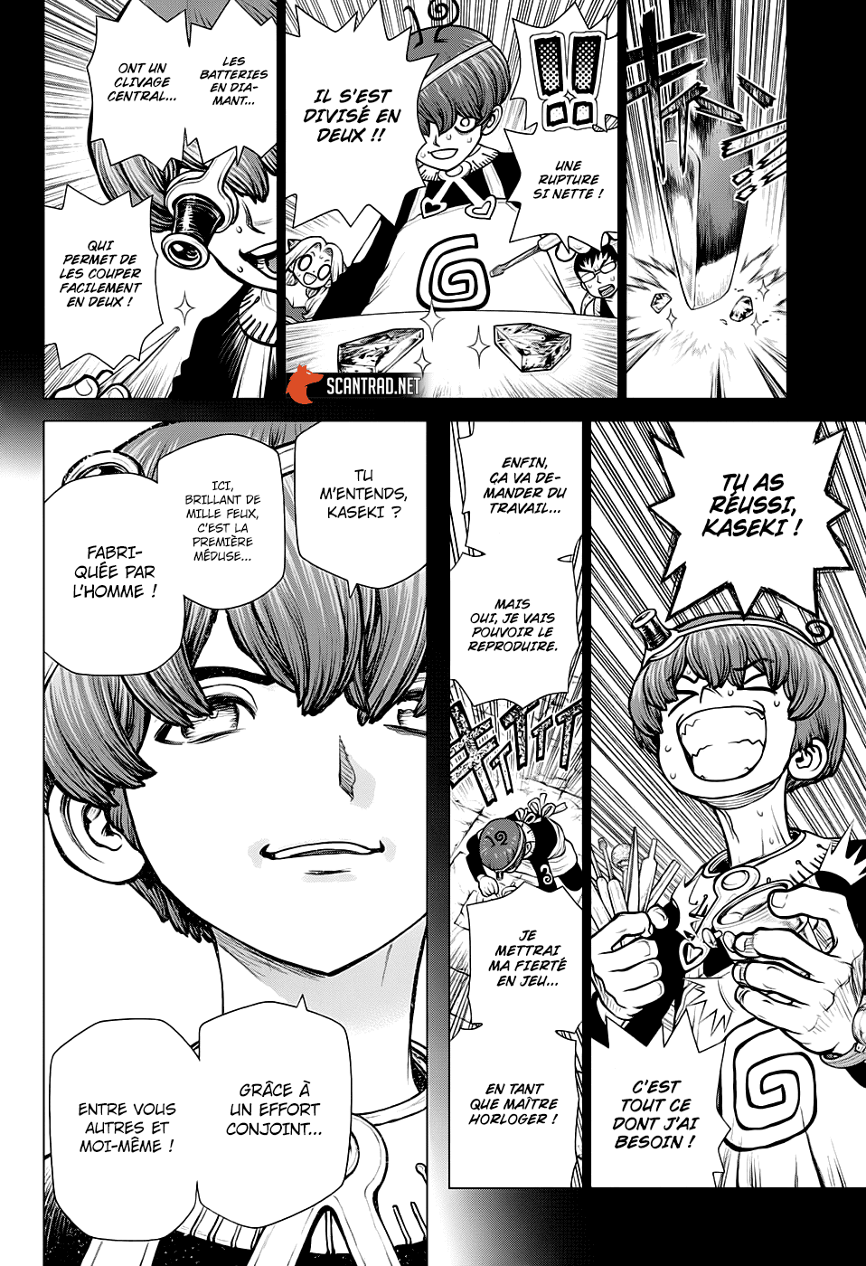 Read Dr. Stone FR Manga Online