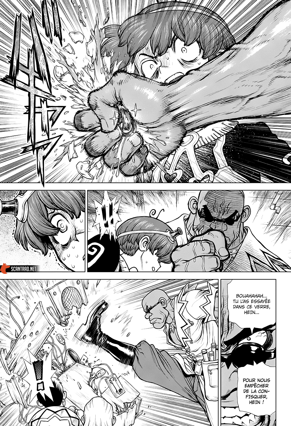 Read Dr. Stone FR Manga Online