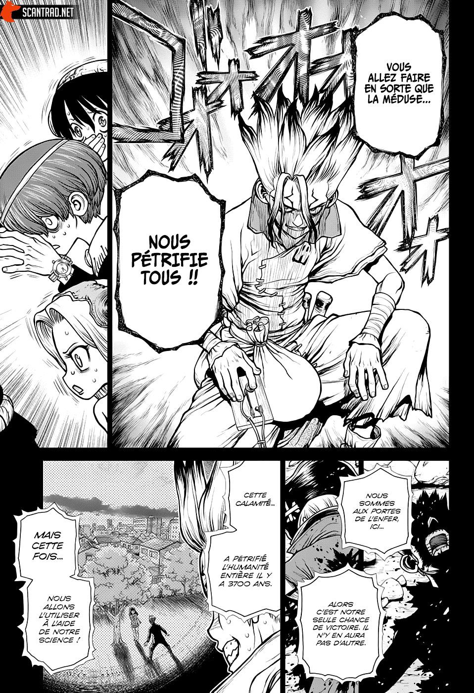 Read Dr. Stone FR Manga Online