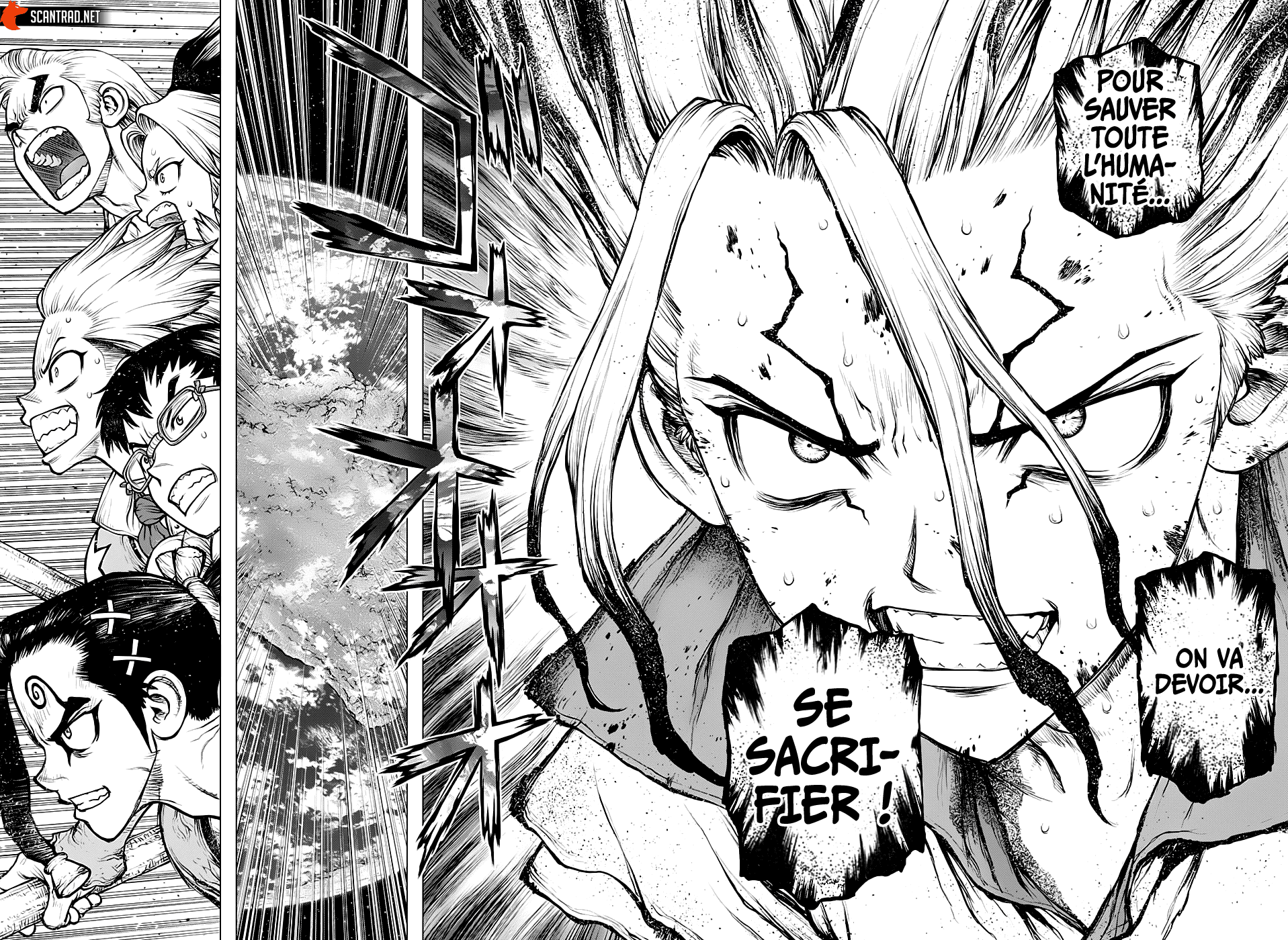 Read Dr. Stone FR Manga Online