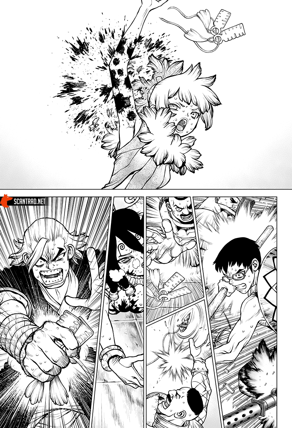Read Dr. Stone FR Manga Online
