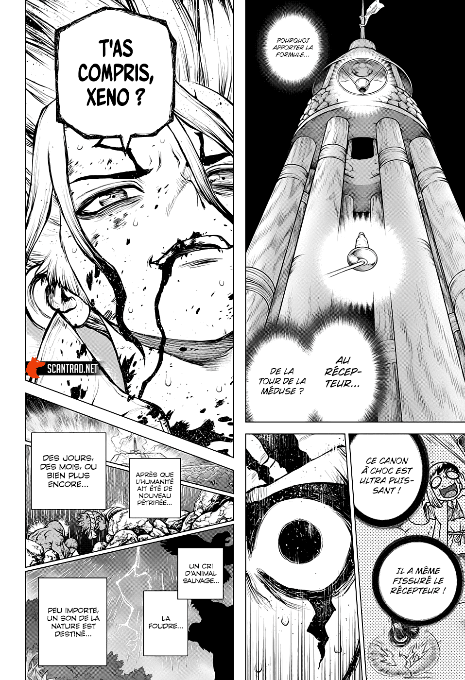Read Dr. Stone FR Manga Online