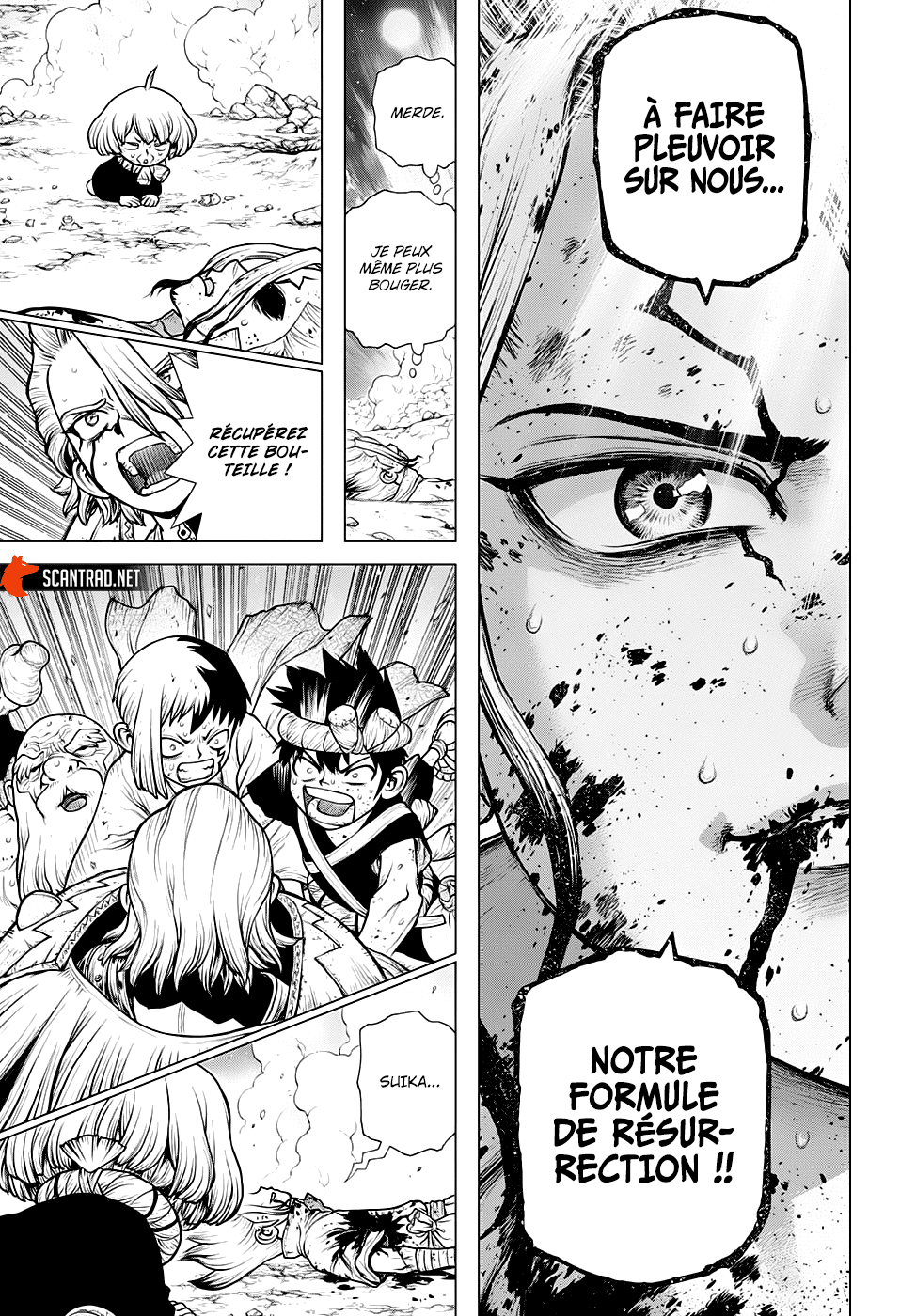 Read Dr. Stone FR Manga Online