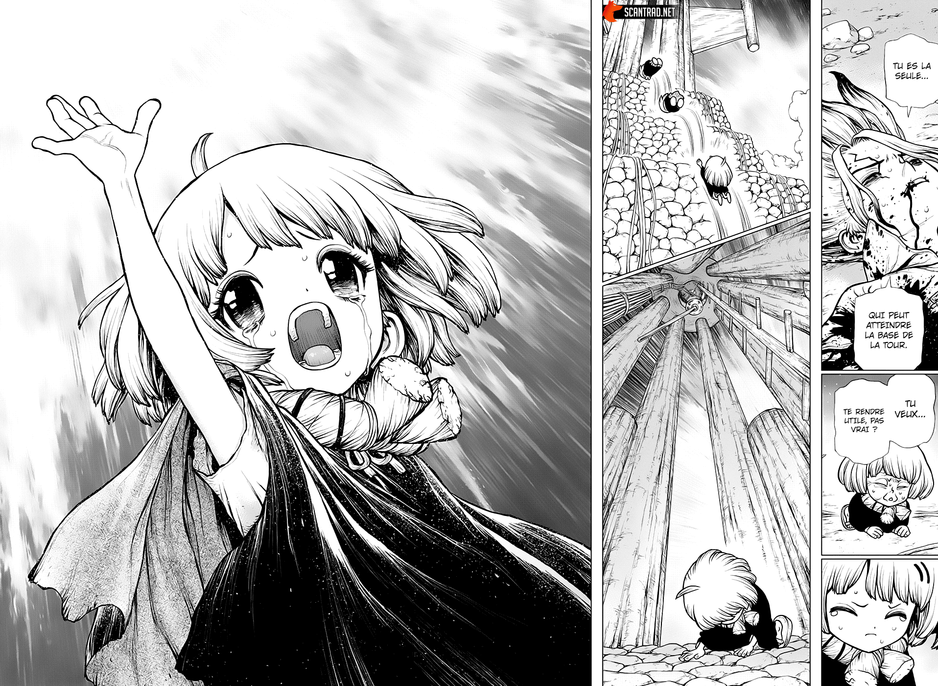 Read Dr. Stone FR Manga Online