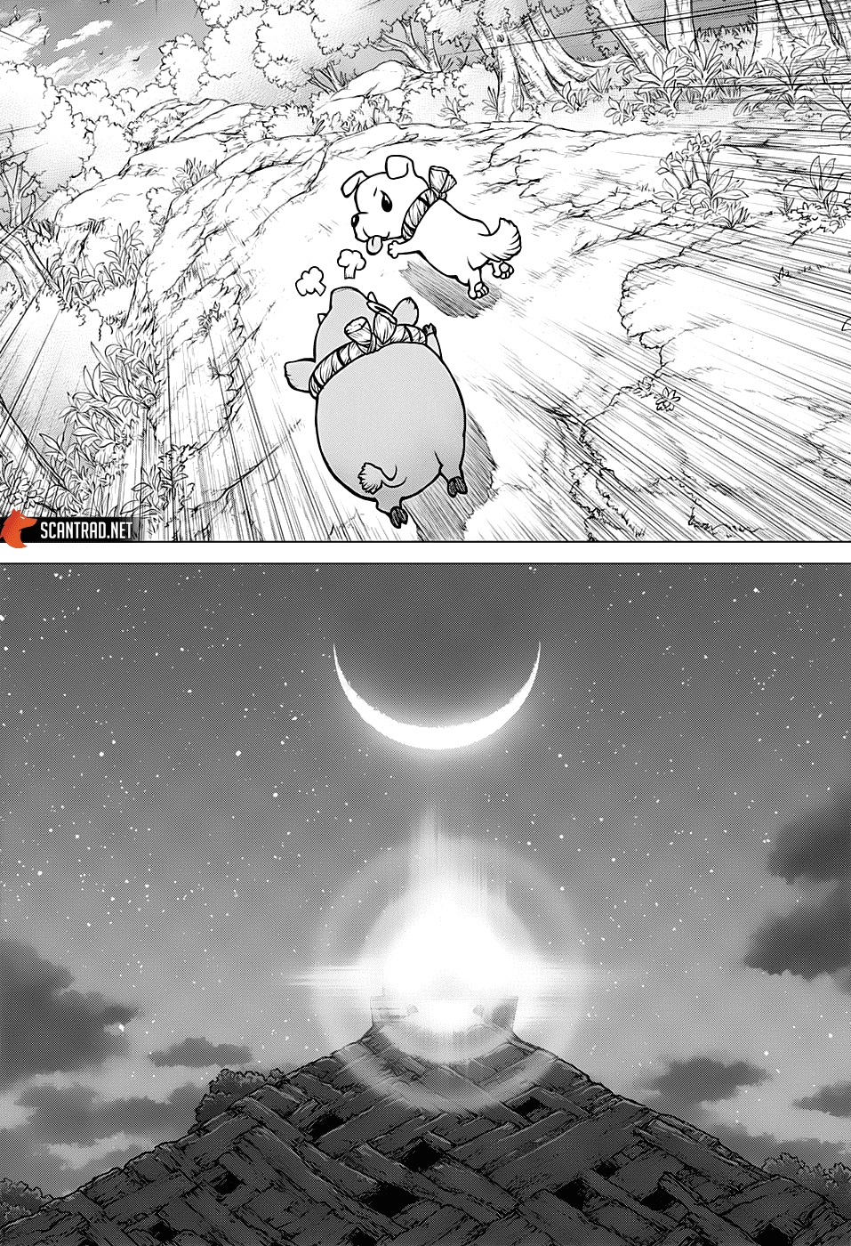 Read Dr. Stone FR Manga Online