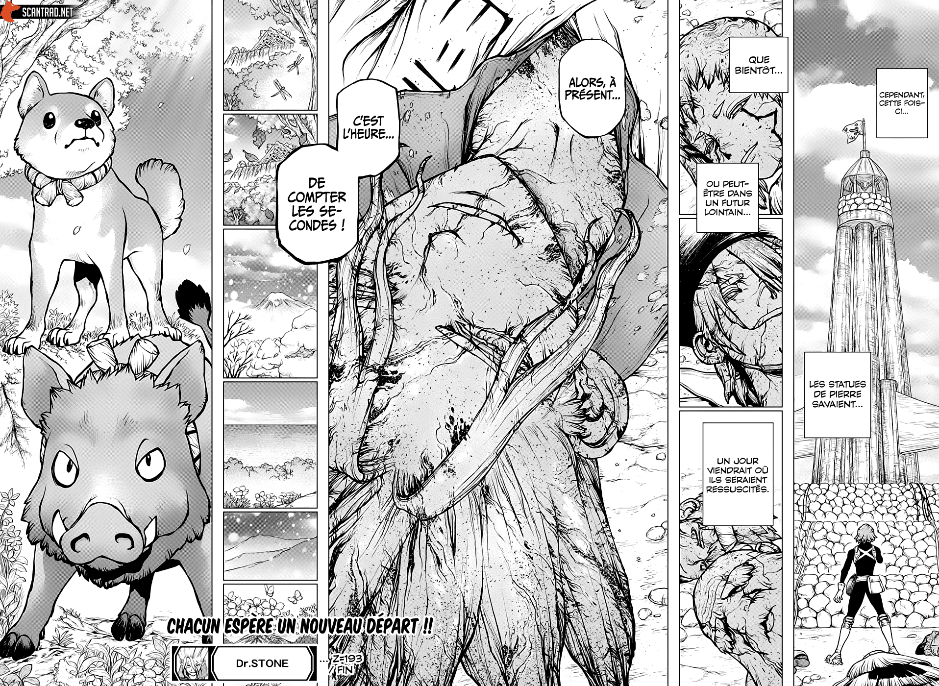 Read Dr. Stone FR Manga Online