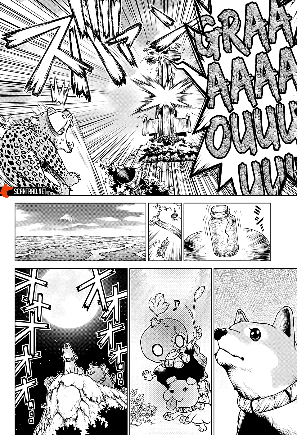 Read Dr. Stone FR Manga Online