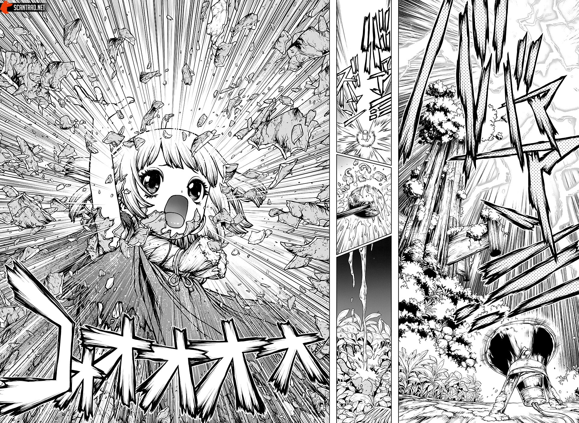 Read Dr. Stone FR Manga Online