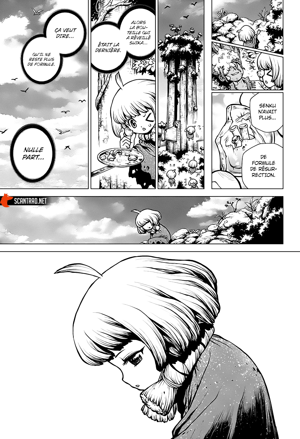 Read Dr. Stone FR Manga Online