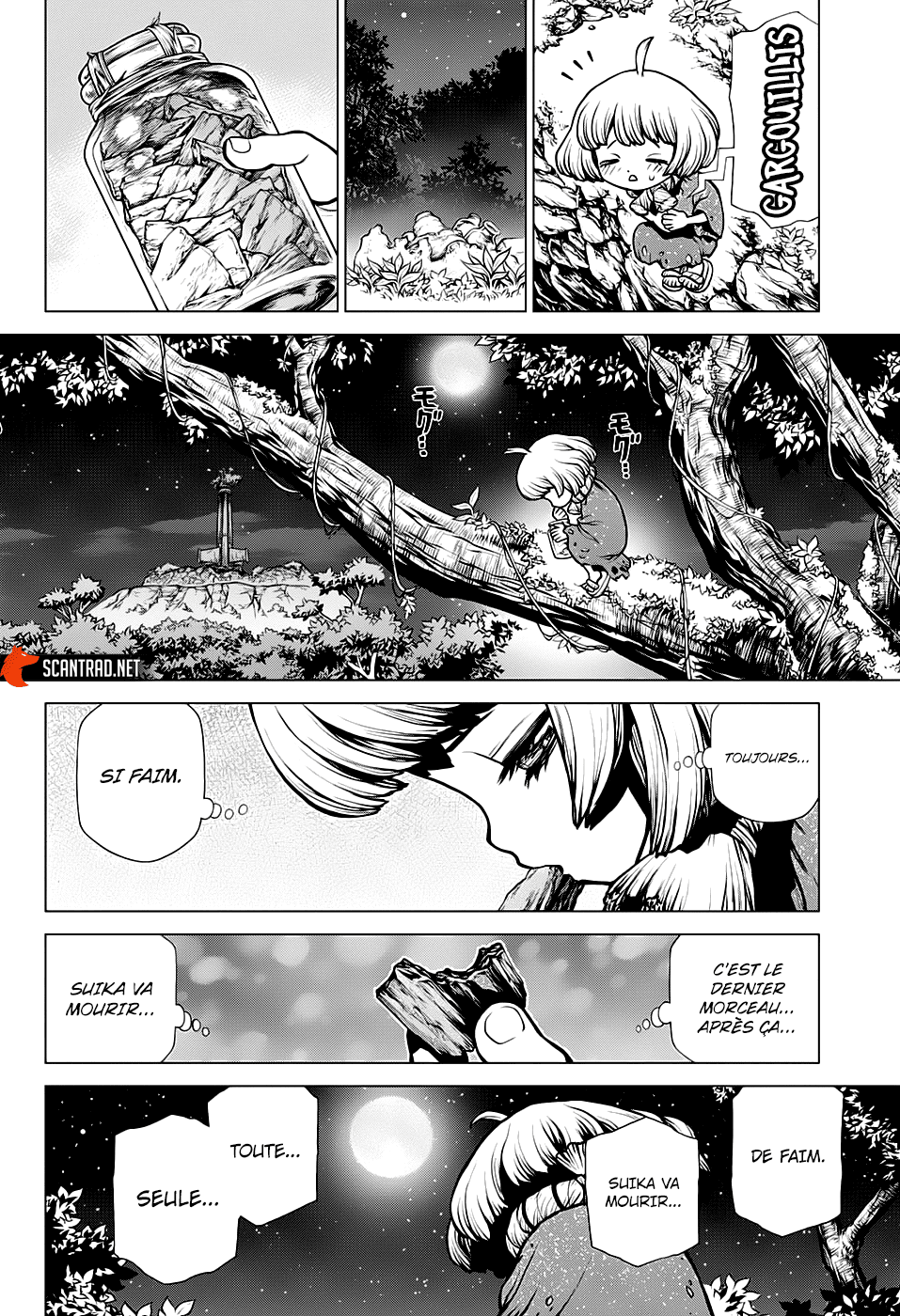 Read Dr. Stone FR Manga Online