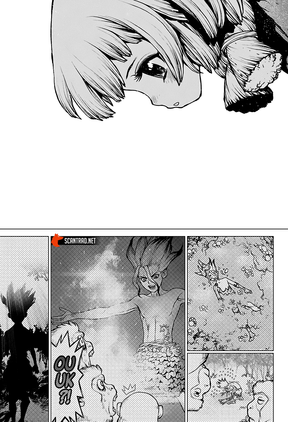 Read Dr. Stone FR Manga Online