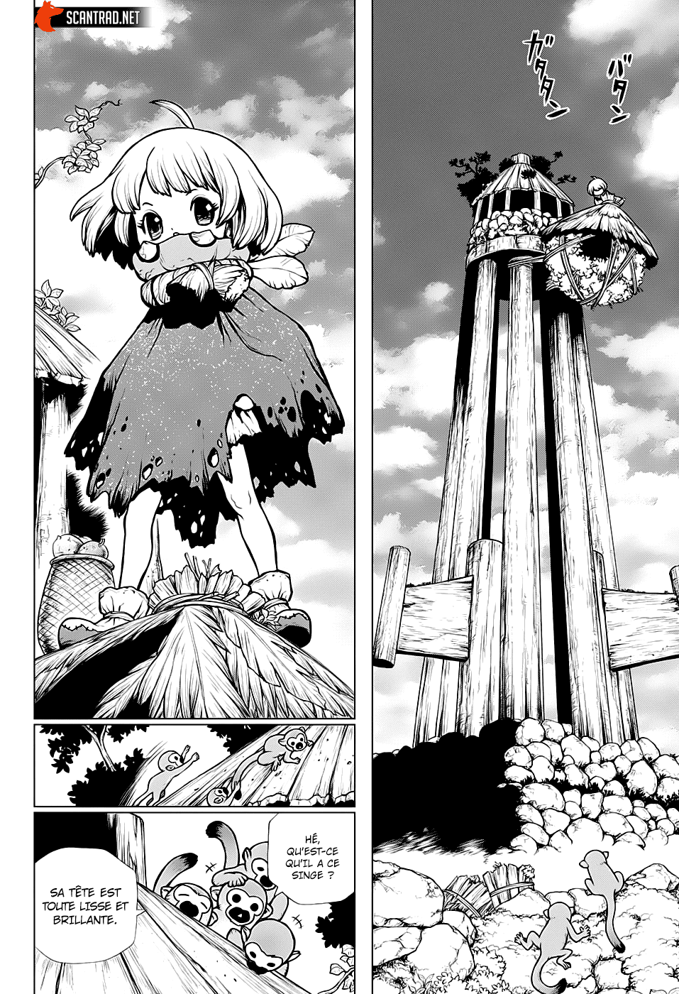 Read Dr. Stone FR Manga Online
