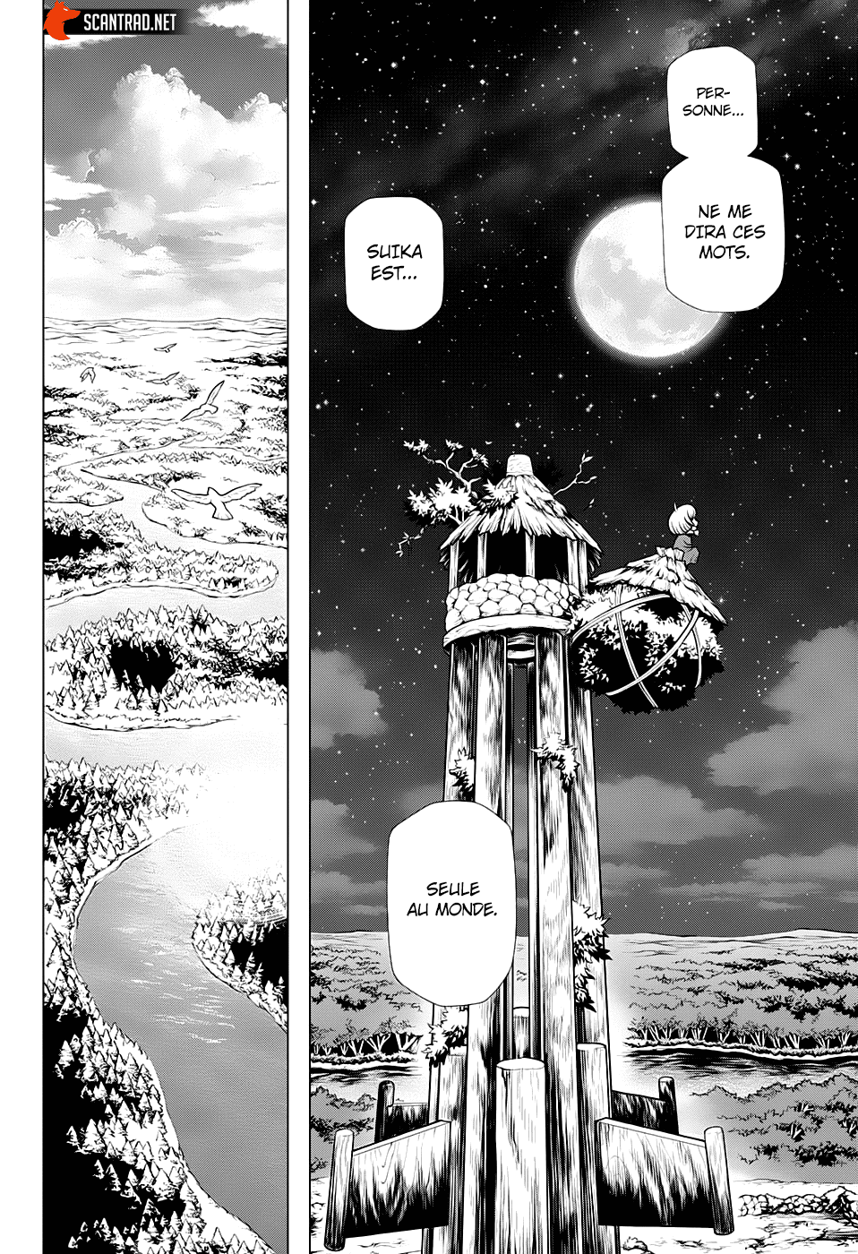 Read Dr. Stone FR Manga Online