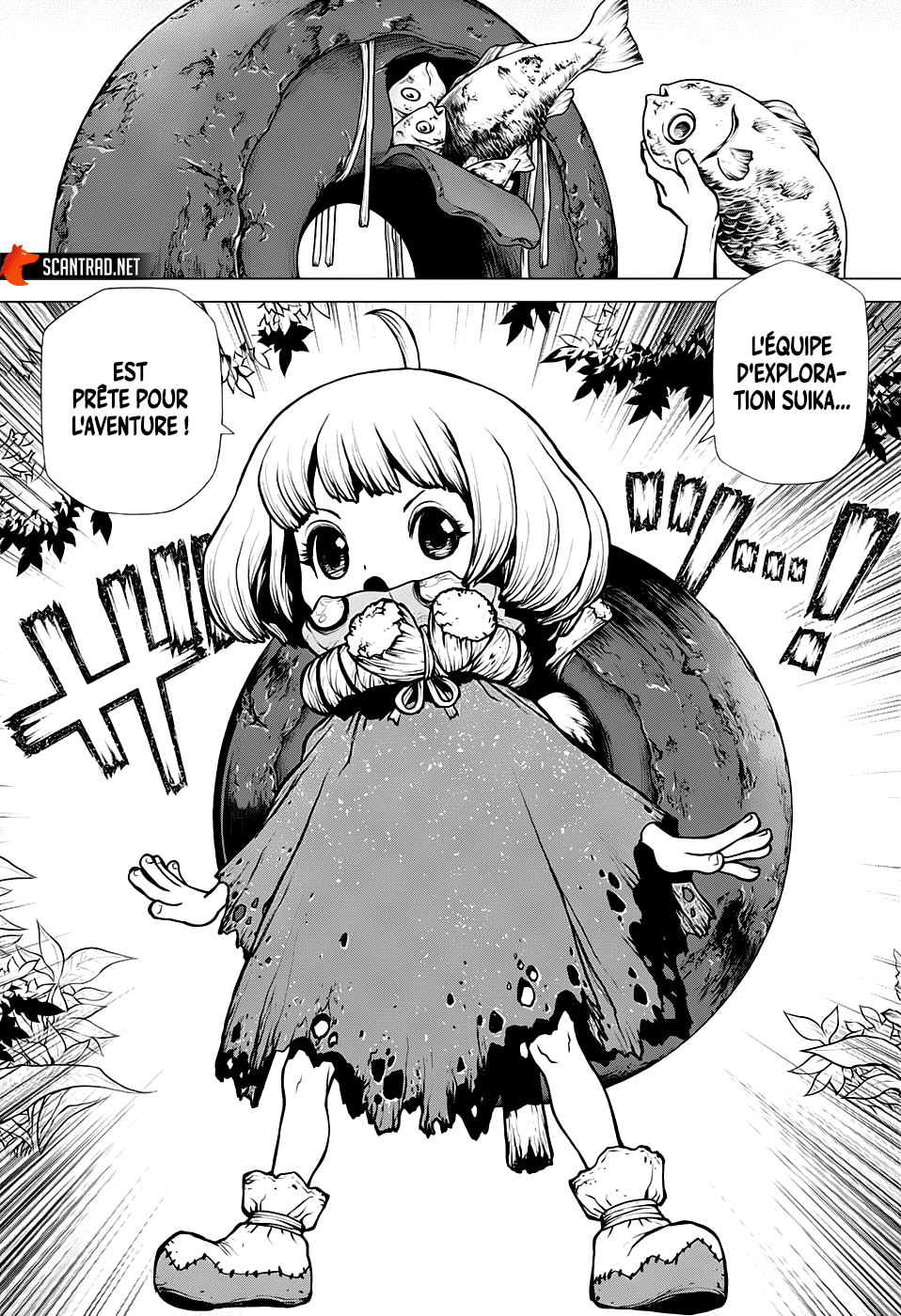 Read Dr. Stone FR Manga Online