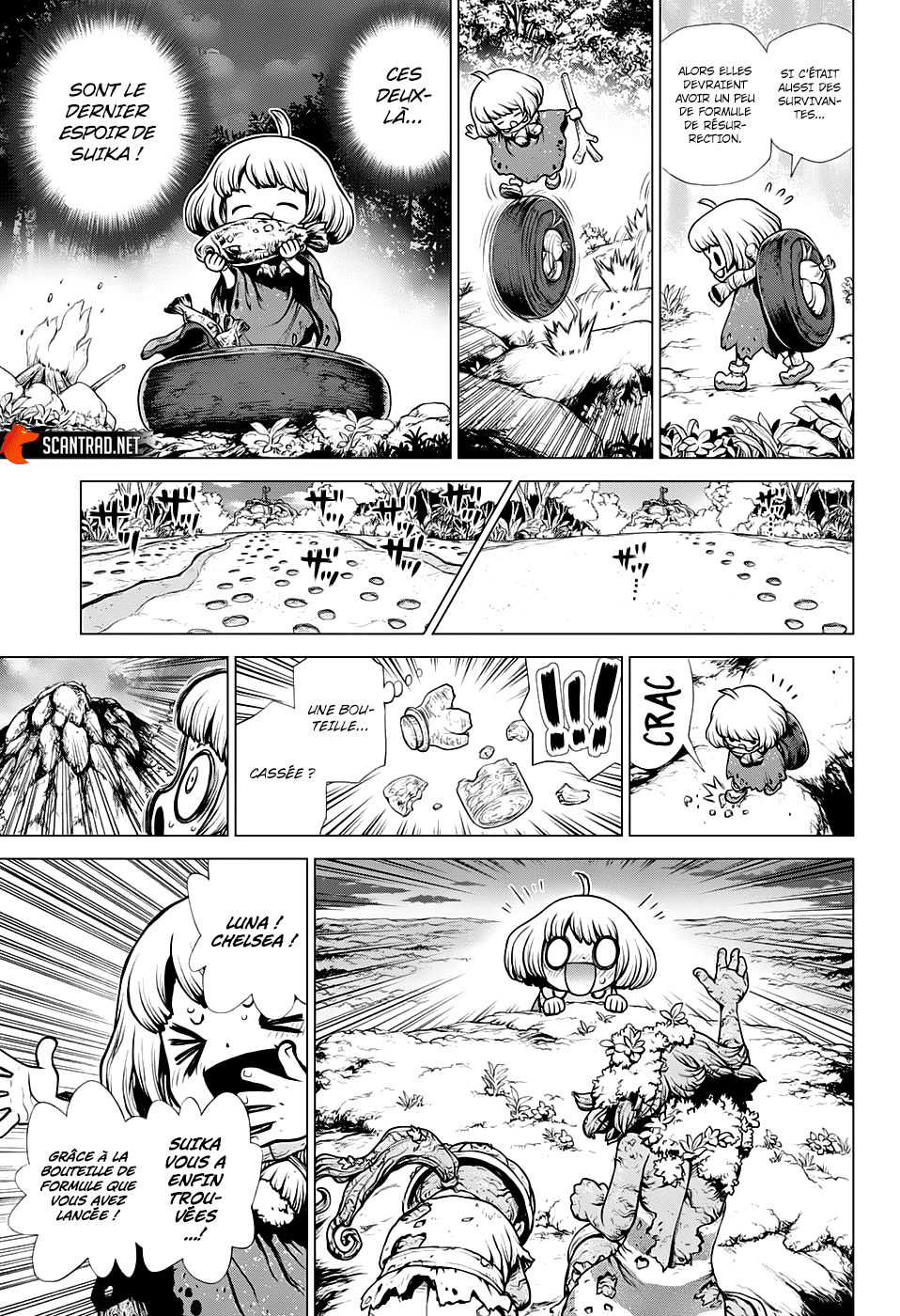 Read Dr. Stone FR Manga Online