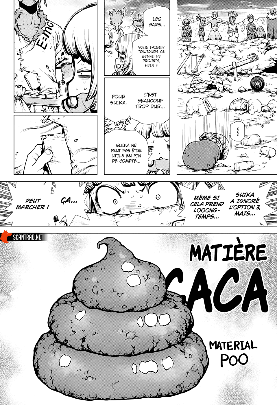 Read Dr. Stone FR Manga Online