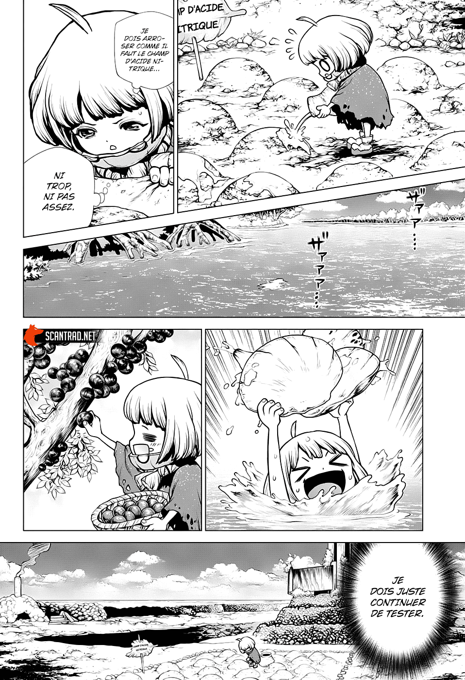 Read Dr. Stone FR Manga Online