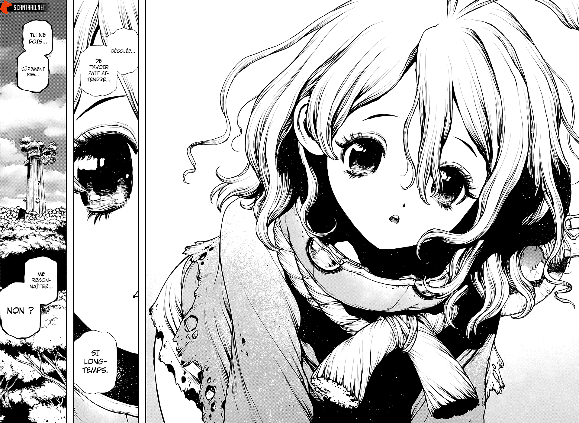 Read Dr. Stone FR Manga Online