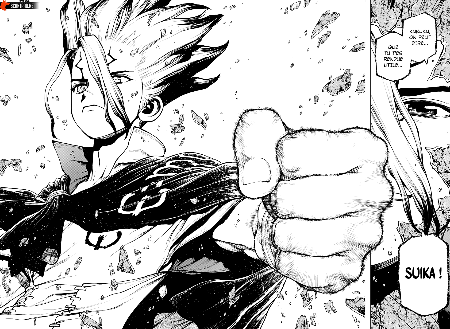 Read Dr. Stone FR Manga Online