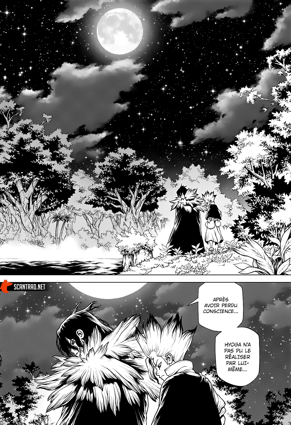 Read Dr. Stone FR Manga Online