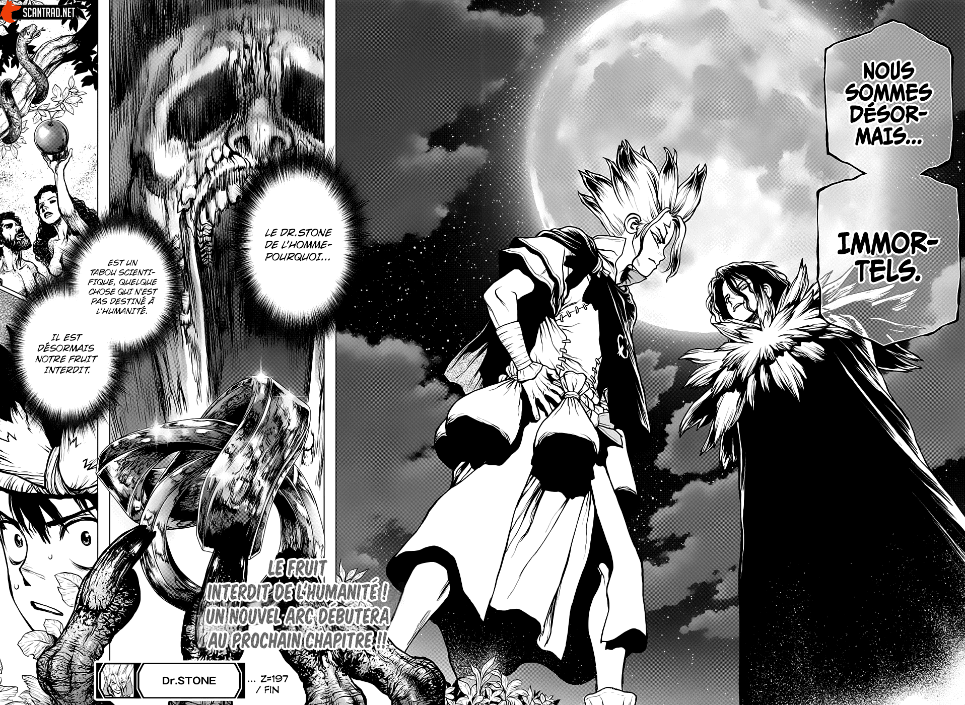 Read Dr. Stone FR Manga Online