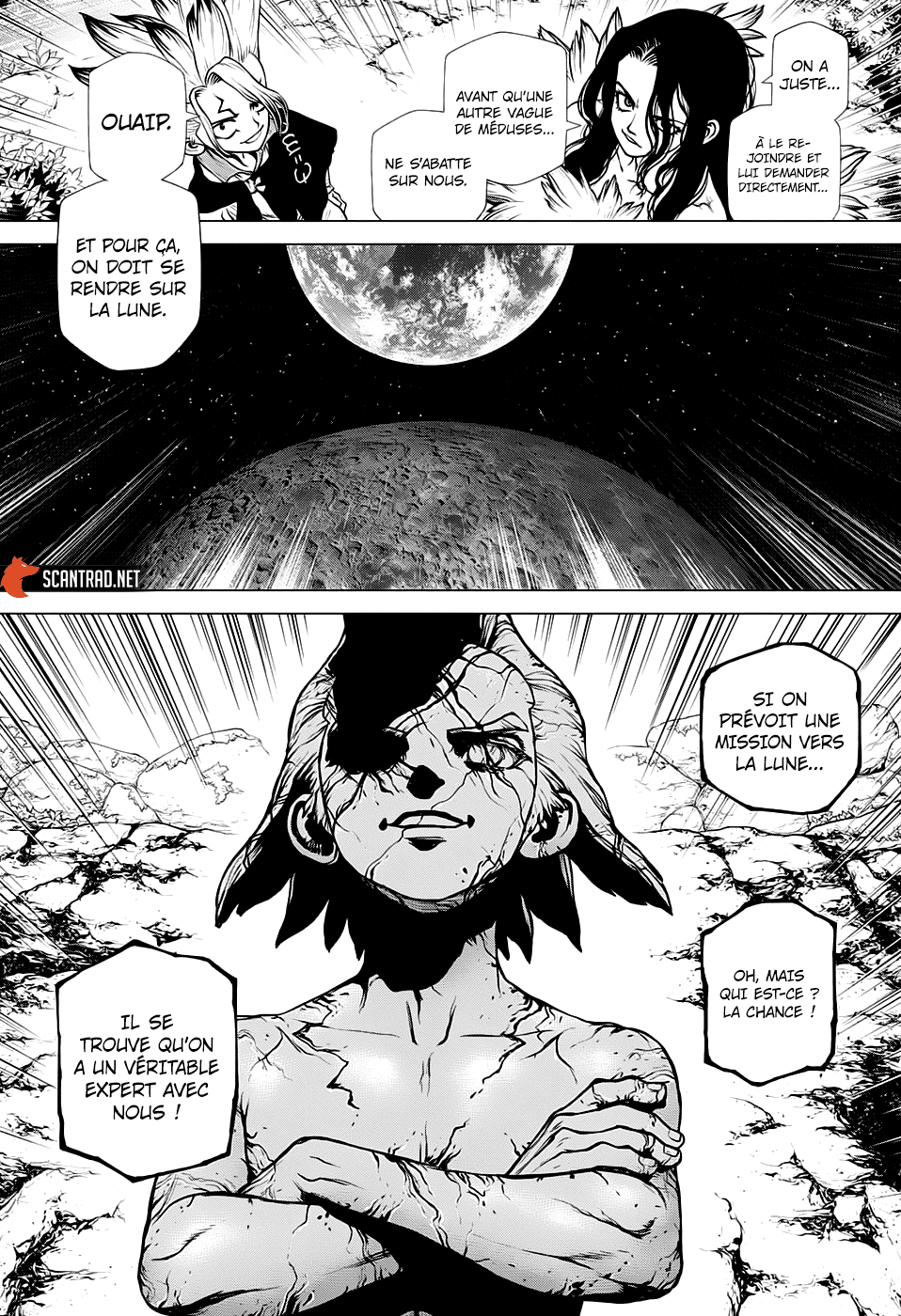 Read Dr. Stone FR Manga Online