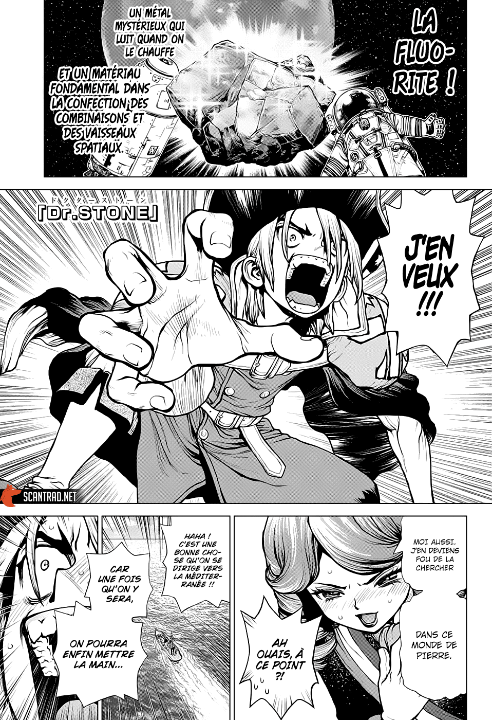 Read Dr. Stone FR Manga Online