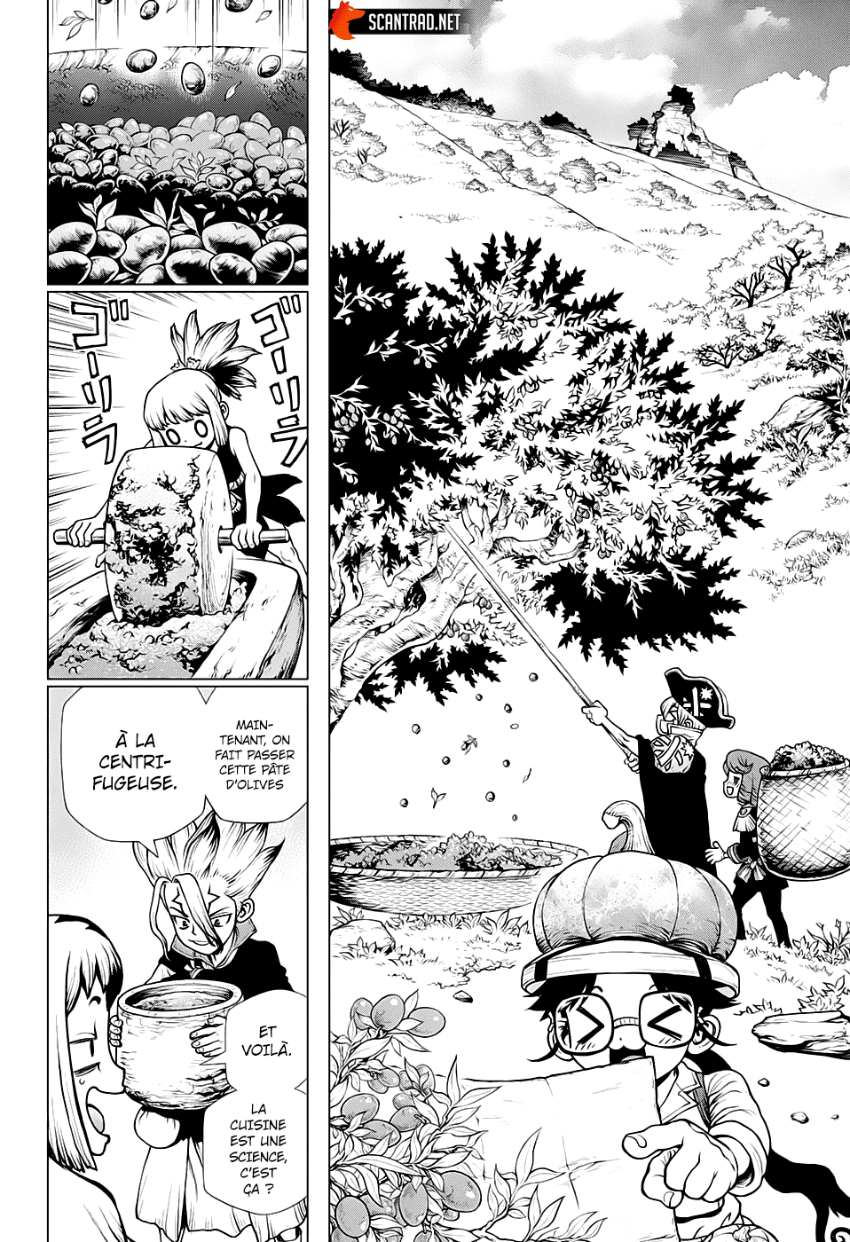 Read Dr. Stone FR Manga Online