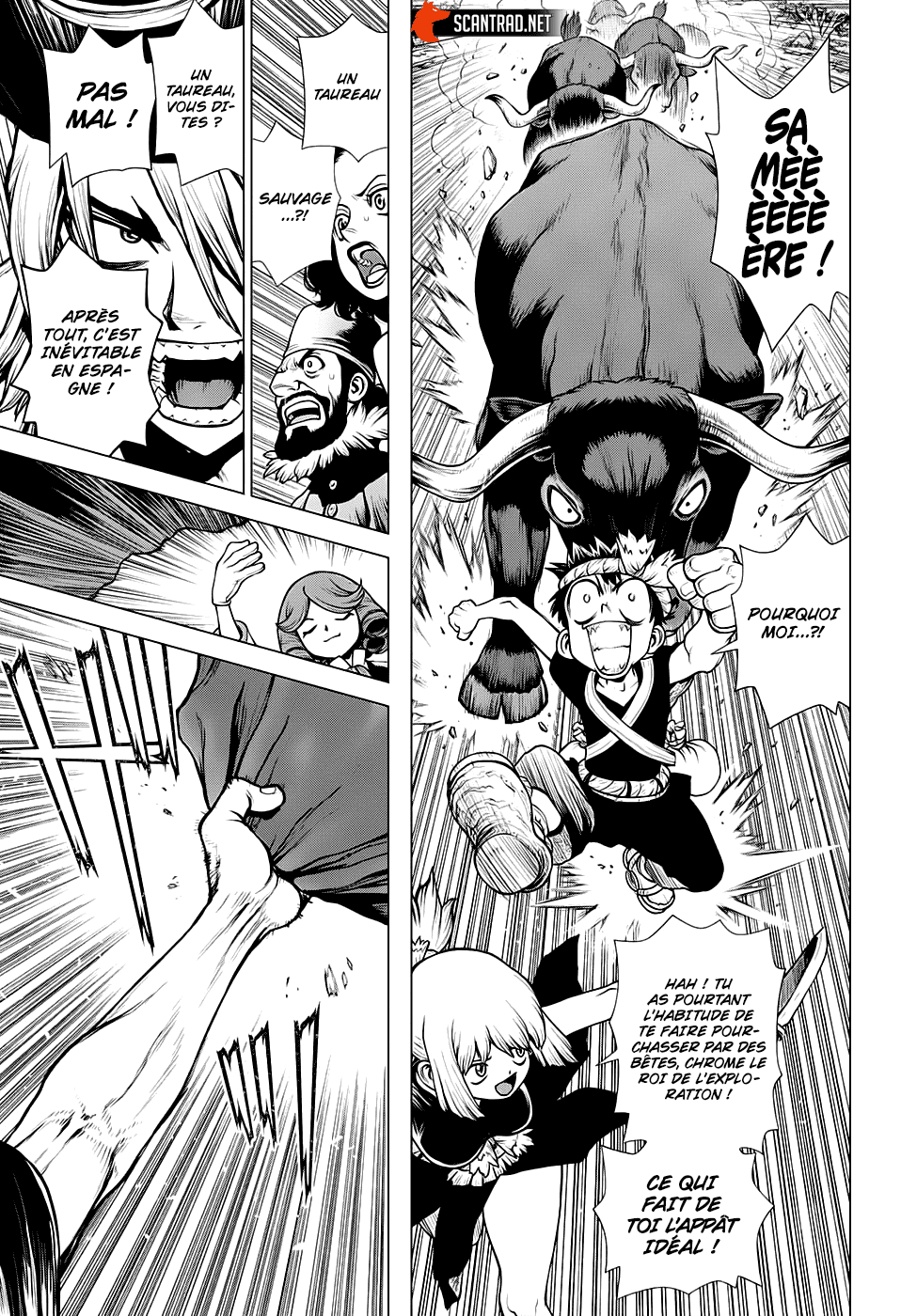 Read Dr. Stone FR Manga Online