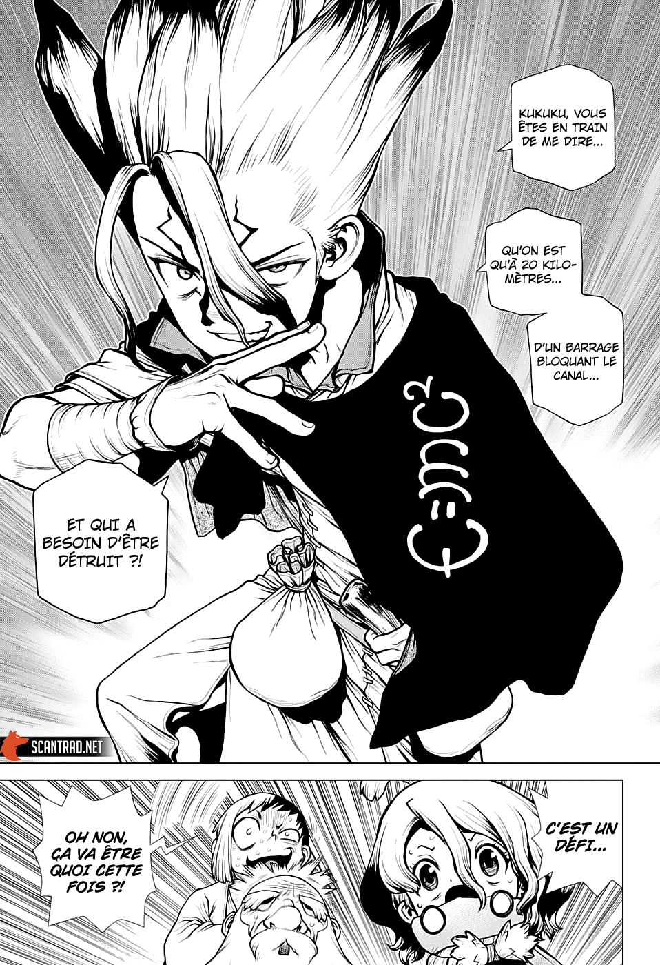 Read Dr. Stone FR Manga Online