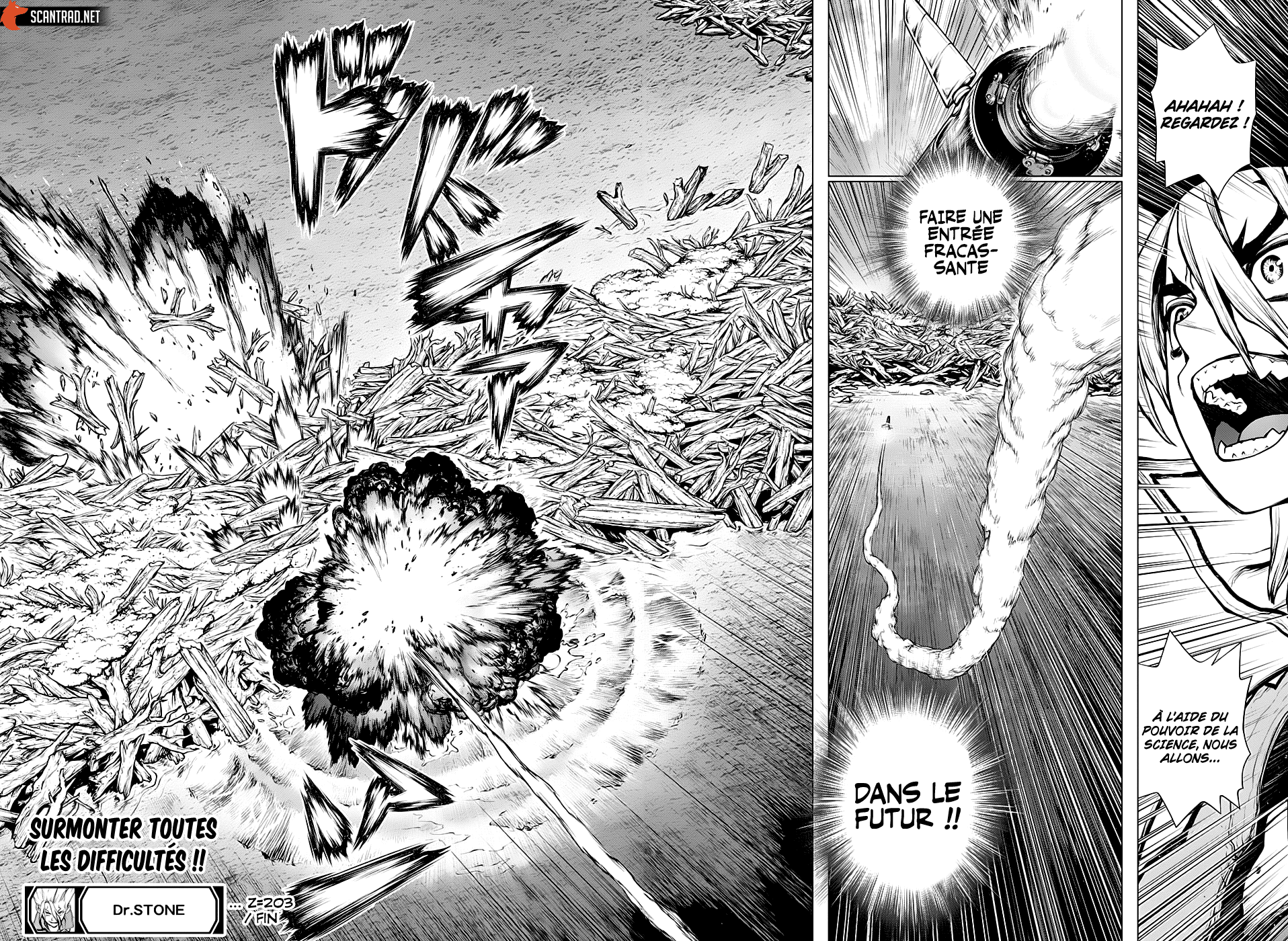 Read Dr. Stone FR Manga Online