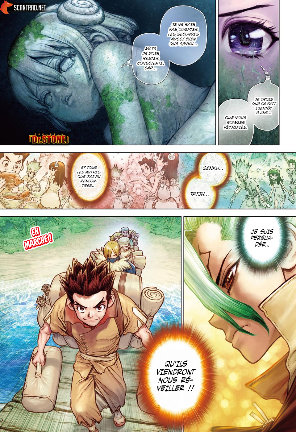 Read Dr. Stone FR Manga Online