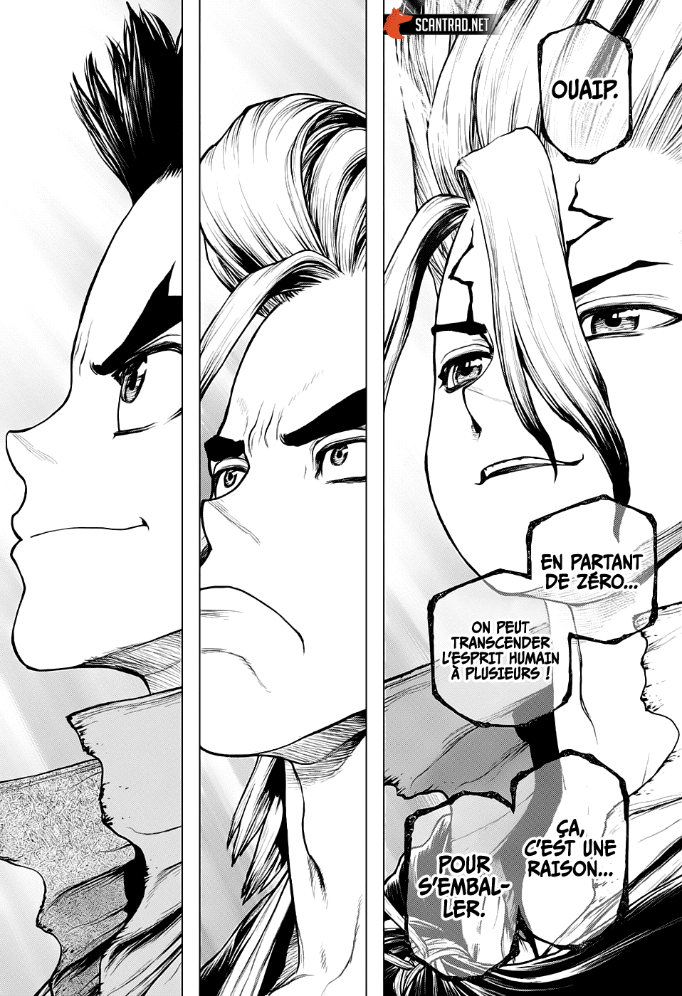 Read Dr. Stone FR Manga Online