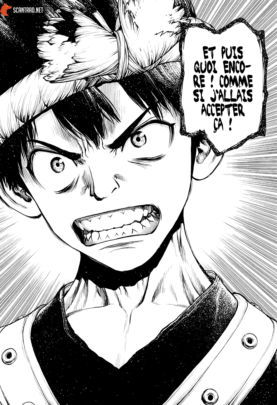 Read Dr. Stone FR Manga Online