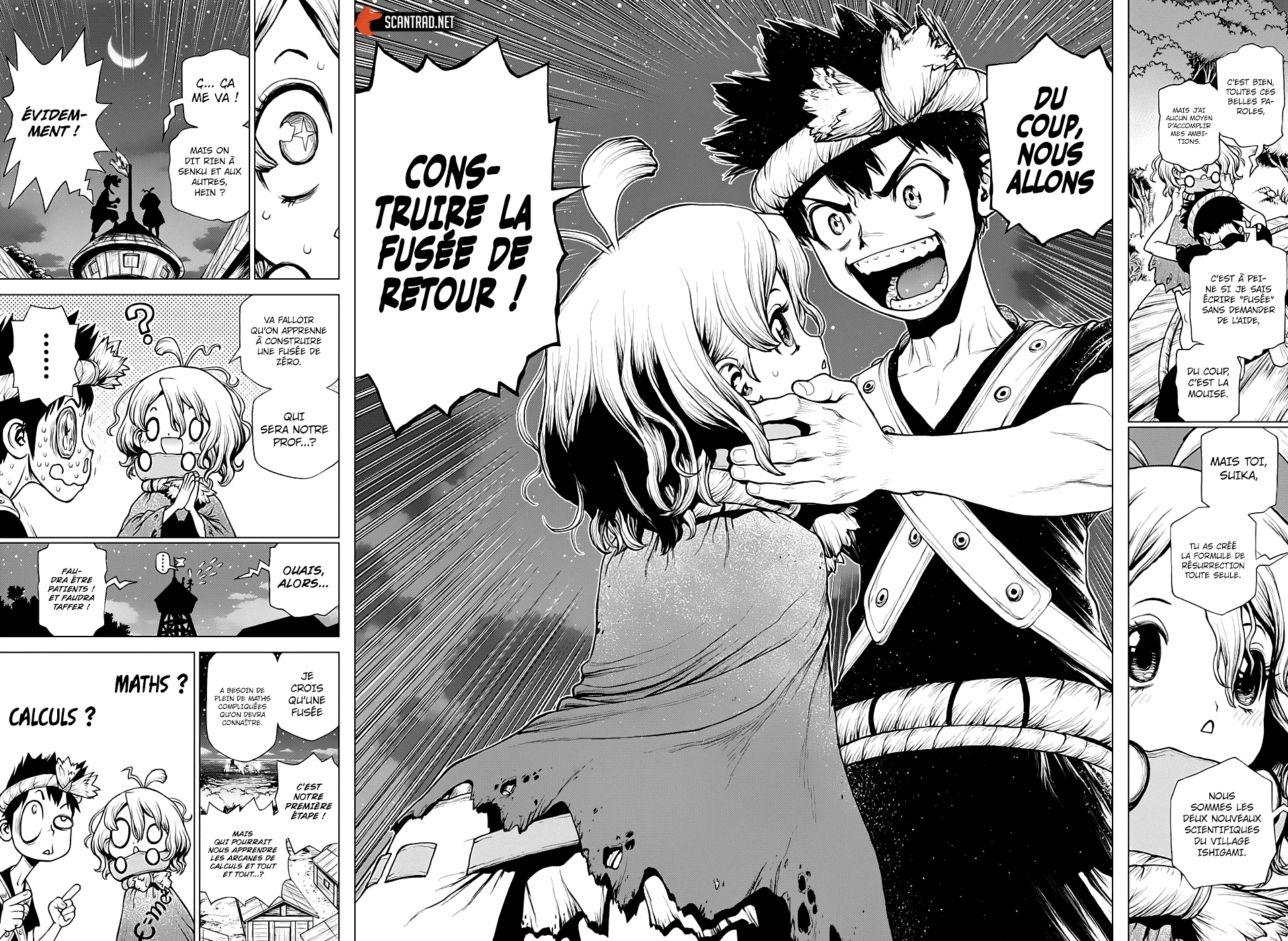 Read Dr. Stone FR Manga Online