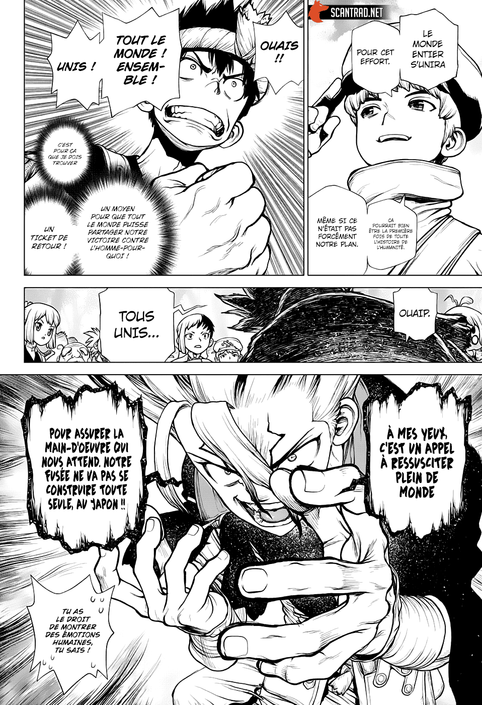 Read Dr. Stone FR Manga Online