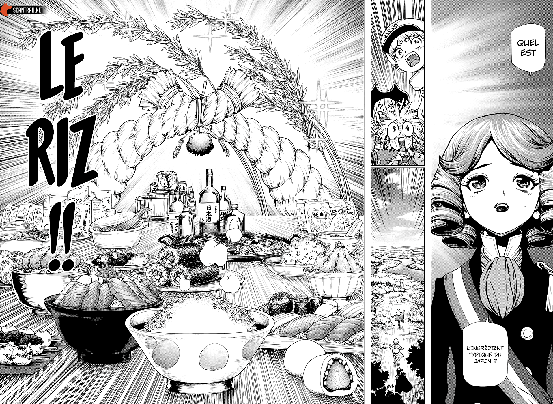 Read Dr. Stone FR Manga Online